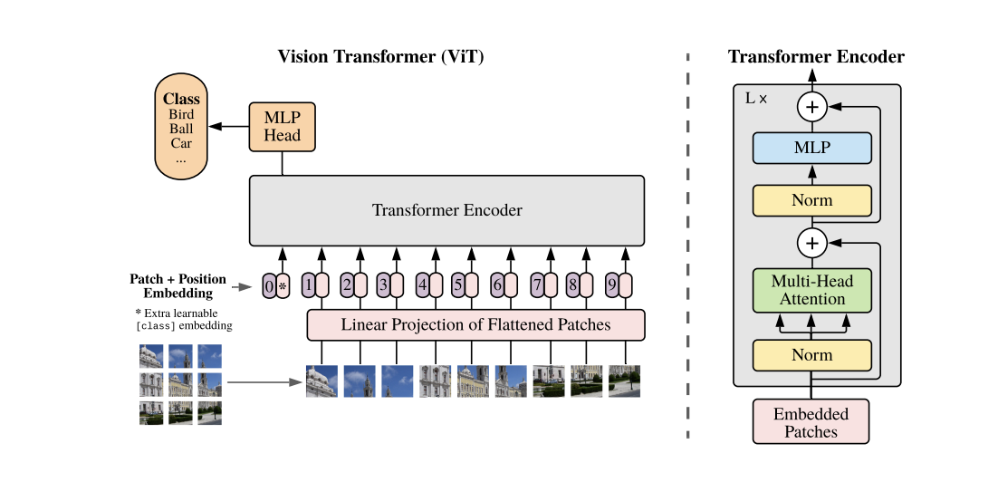 Vision Transformer pictured 